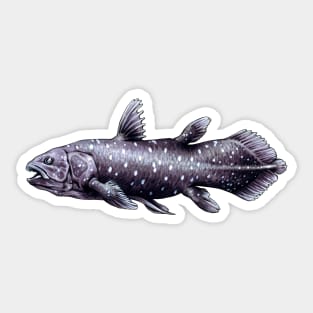 Coelacanth Fish Sticker